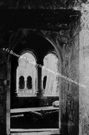 QUINN ABBEY  CLOISTERS FROM REFECTORY